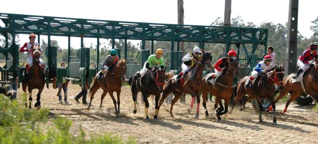 Centro Equestre da Maia